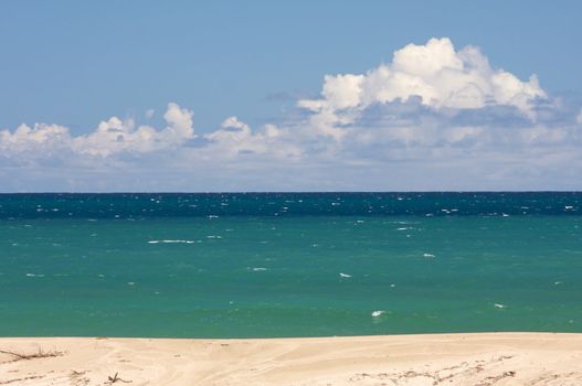 Tropical Shoreline on Kauai, Hawaii