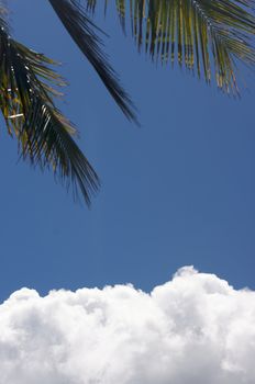 White Cumulus Clouds off the coast of Kauai, Hawaii