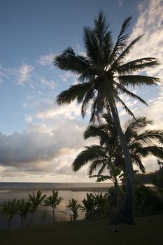 Tropical Sunset with Palm Trees and clouds.