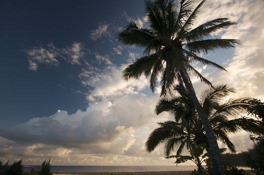 Tropical Sunset with Palm Trees and clouds.