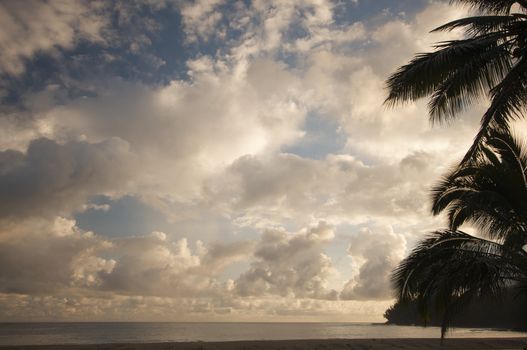 Tropical Sunset with Palm Trees and clouds.