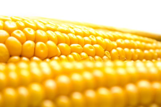 Freshly harvested corn, close up. Shallow DOF, macro, background