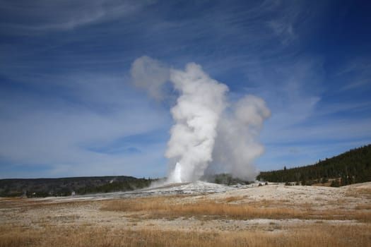 Old Faithful Geyser at near peak of eruption under a big sky