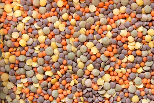 Close up on various types of lentils