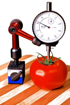 sizing tomato with a dial gauge micrometer