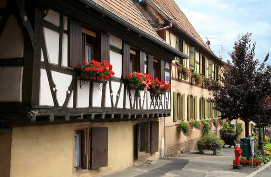 Typical colored houses in Alsace. Route des vines – France. Half-timbered wall.