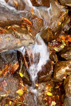 A small waterfall surrounded by stones and leaves
