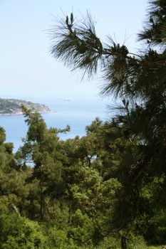 Green forest on background with blue sea and island