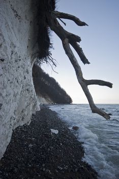 famous chalk cliffs of R�gen in winter