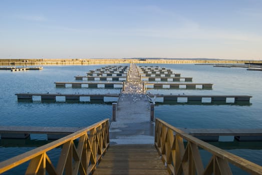 lots of seagulls on an empty jetty in Sassnitz