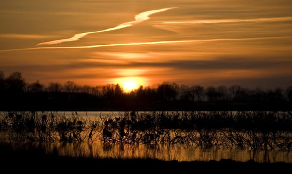 beautiful sunset at a lake with silhouettes of trees 