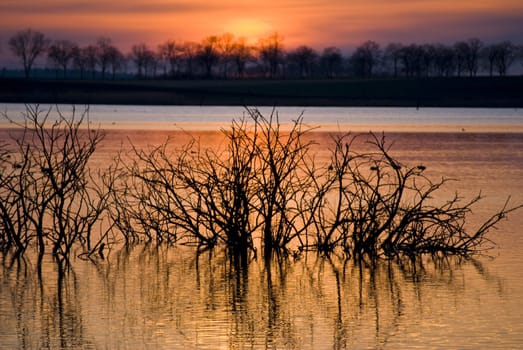 beautiful sunset at a lake with silhouettes of trees 