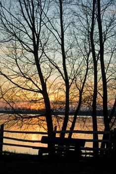 silhouette of a bench and trees at sunset