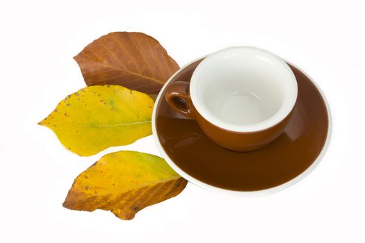 empty espresso cup with beech leaves in autumn