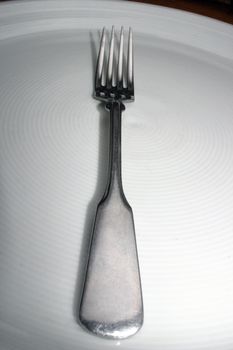 a fork lying on a white dish