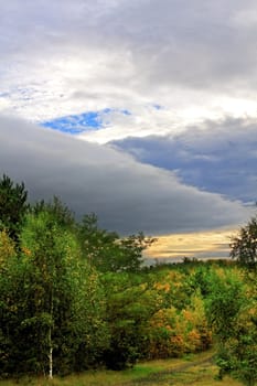 Autumn Woods and Beautiful Sky