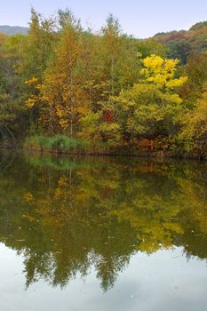 Autumn forest and lake scenery - bright nature landscape.