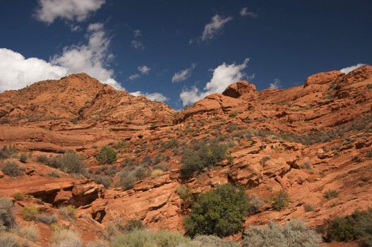Red Rocks of Utah with Dramatic Blue Sky and Clouds