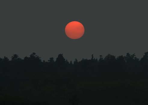 This image shows a sunset over a forest