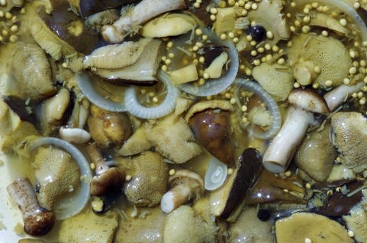 Detail of the pickled mushrooms - in vinaigrette