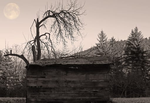 This image shows a old cabin with full moon