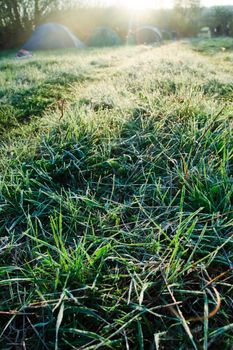 Grass with rime and dew drops in a morning light with camping in background