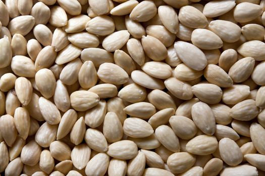 Background of raw blanched almonds: close up