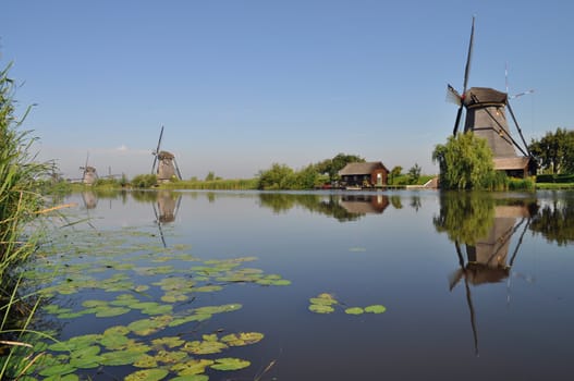 Dutch mill reflecting in a canal, Kinderdijk, Holland