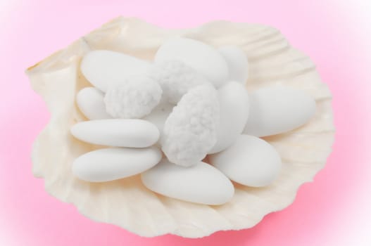 White wedding comfit in a shell, pink background