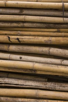 it is a close up of bamboo for background