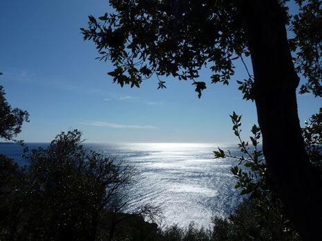 Black shadow of a tree and vegetation into the light and sea reflecting sunlights by very beautiful day