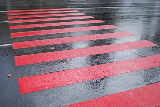 drops of rain water on a fresh asphalt