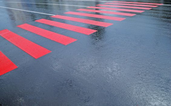 drops of rain water on a fresh asphalt