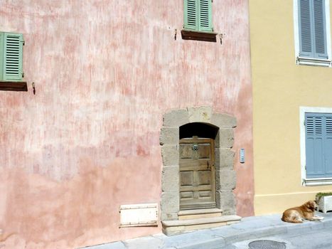 Door made of wood in a pink facade with green closed shutters and dog lying on the pavement ati Saint-Tropez, France