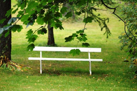 bench in a park