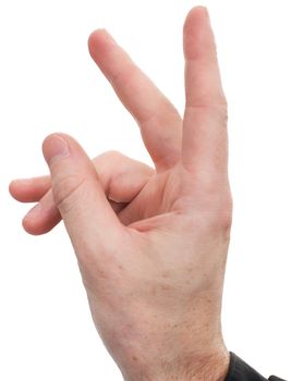 Man's hand showing a rabbit on a white background