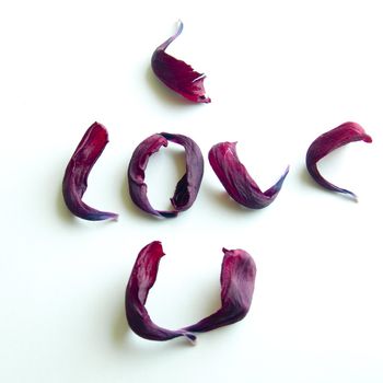 Image of tulip petals spelling the words I Love U