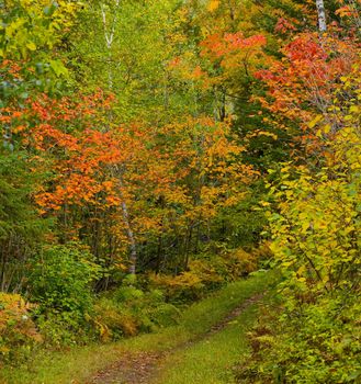 September colors in the North Woods of Minnesota