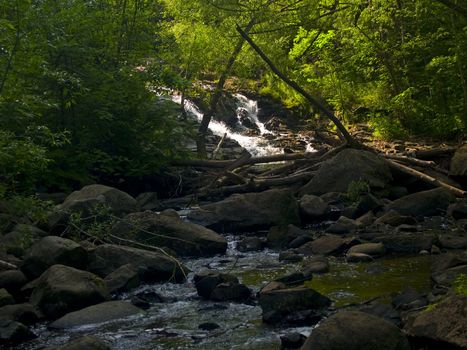 Waterfall distant and under a sunbeam filtering through a dark forest