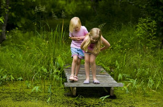 Sisters exploring a small pond in the north woods of Minnesota