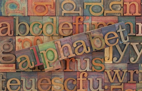 the word of alphabet across a background of vintage wooden letterpress type blocks, stained by color inks