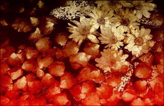 Innocence in Nature Painted Flowers Art Abstract