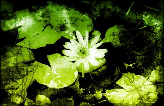 Soothing Zen Abstract as a Nature Background