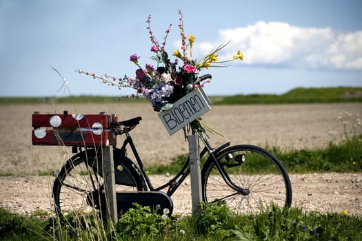 a bike with flowers on a field