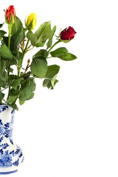 beautiful tulips in a vase