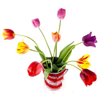 beautiful tulips in a vase