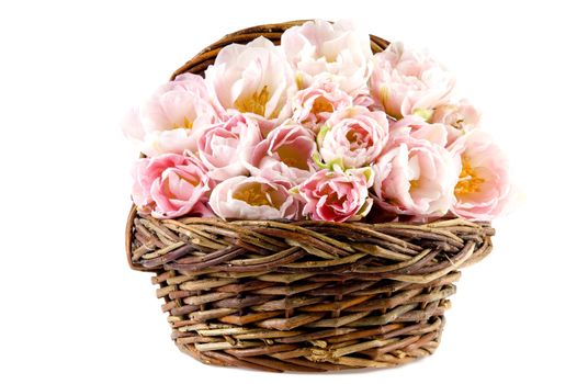 beautiful tulips in a basket