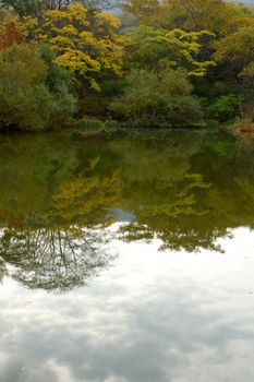 Autumn forest and lake scenery - bright nature landscape.