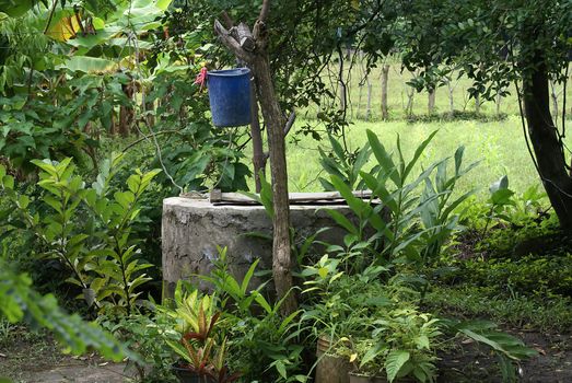 Water well with a bucket in Nicaragua.              