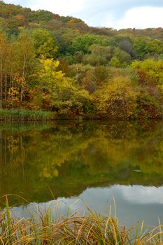 Autumn forest and lake scenery - bright nature landscape.